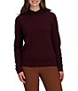 Royal Robbins Rockcraft Solid Merino Wool Long Sleeve Pullover Hoodie - Image 1