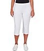 Ruby Rd. Petite Size French Terry Knit Pull-On Pants - Image 1