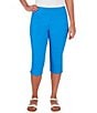 Color:Ultramar - Image 1 - Petite Size Stretch Pull-On Clamdigger Capri Pants