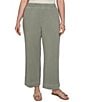 Ruby Rd. Plus Size Coordinating Snow-Washed French Terry Relaxed Pull-On Pants - Image 1