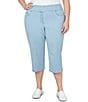 Ruby Rd. Plus Size Extra Stretch Denim Capri Pull-On Pants - Image 1