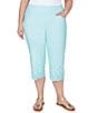 Color:Clear Blue - Image 1 - Plus Size Stretch Embroidered Eyelet Hem Pull-On Capri Pants
