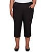 Ruby Rd. Plus Size Stretch Straight Leg Pull-On Capri Pants, Color:Black - Image 2