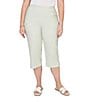 Ruby Rd. Plus Size Stretch Straight Leg Pull-On Capri Pants - Image 1