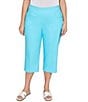 Ruby Rd. Plus Size Stretch Straight Leg Pull-On Capri Pants, Color:Aruba Blue - Image 1