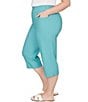 Ruby Rd. Plus Size Stretch Straight Leg Pull-On Capri Pants - Image 3