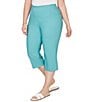 Ruby Rd. Plus Size Stretch Straight Leg Pull-On Capri Pants - Image 4