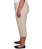Ruby Rd. Plus Size Stretch Straight Leg Pull-On Capri Pants, Color:Chino - Image 3