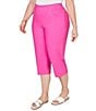 Ruby Rd. Plus Size Stretch Straight Leg Pull-On Capri Pants - Image 3