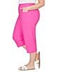 Ruby Rd. Plus Size Stretch Straight Leg Pull-On Capri Pants - Image 4