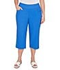 Ruby Rd. Plus Size Stretch Straight Leg Pull-On Capri Pants, Color:Sea Blue - Image 1