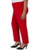 Ruby Rd. Plus Size Stretch Velvet Straight Leg Ankle Pants - Image 3