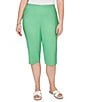 Ruby Rd. Plus Size Tech Clamdigger Pull-On Capri Pants - Image 1