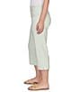 Ruby Rd. Stretch Straight Leg Pull-On Capri Pants - Image 3