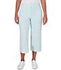 Color:Clear Blue - Image 1 - Woven Striped Straight Leg Crop Pants