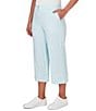 Color:Clear Blue - Image 3 - Woven Striped Straight Leg Crop Pants