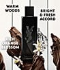 Yves Saint Laurent undefined, 00000000__20589403_03_ai - undefined