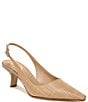 Color:Buff Tan - Image 1 - Bianka Slingback Raffia Pointed Toe Pumps