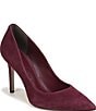 Sam Edelman Hazel Suede Pointed Toe Stiletto Pumps - Image 1