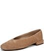 Sam Edelman Kasey Suede Dress Flats - Image 6