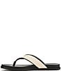 Sam Edelman Lila Raffia Thong Flip Flops - Image 5