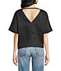SASSO + SMYTH Linen V-Neck Short Sleeve Back Detail Top - Image 2