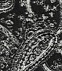 SASSO + SMYTH Paisley Print Triangle Scarf Wrap - Image 2