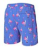 Color:Flocktail Hour Sport Blue - Image 2 - Retro-Inspired Two-In-One 5#double; Inseam Swim Shorts