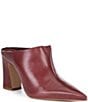 Schutz Eleanor Leather Pointed Toe Block Heel Mules - Image 1