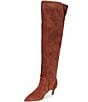 Schutz Odessa Suede Pointed Toe Kitten Heel Over The Knee Boots - Image 4