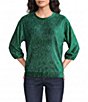 See And Be Seen Knit Textured Velvet Round Neck 3/4 Sleeve Pullover Top - Image 1