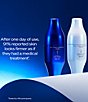 Shiseido undefined, 00000000__20336531_06_ai - undefined