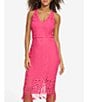 Color:Pink - Image 1 - Lace V-Neckline Sleeveless Back Yoke Fringe Detail Midi Dress