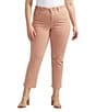 Color:Dusty Coral - Image 1 - Plus Size Power Stretch High-Rise Straight Leg Jeans