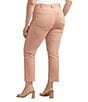 Color:Dusty Coral - Image 2 - Plus Size Power Stretch High-Rise Straight Leg Jeans