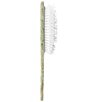 Solar Eclipse Hand-Painted Flower Mahjong Amazing Hair Day Brush - Image 3