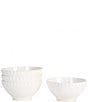 Southern LivingAlexa Stoneware Large Cereal Bowl, Set of 4