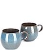 Color:Teal - Image 1 - Astra Collection Glazed Belly Coffee Mugs, Set of 2