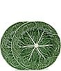 Color:Green - Image 1 - Cabbage Dinner Plates, Set of 2
