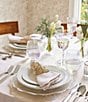 Southern Living Luster Goblets, Set of 4, Color:Clear - Image 3