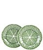 Color:Green - Image 1 - Cabbage Salad Plates, Set of 2