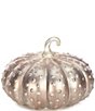Color:Gold - Image 1 - Festive Fall Collection Dotted Cinderella Pumpkin