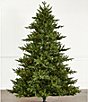 Southern Living Holiday Collection 7.5-ft. Green Spruce LED Pre-Lit Christmas Tree - Image 1