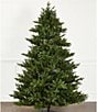 Southern Living Spruce LED Pre-Lit Christmas Tree, 7.5 ft. - Image 2