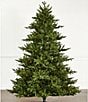 Southern Living Spruce LED Pre-Lit Christmas Tree, 7.5 ft. - Image 1