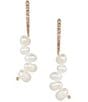 Southern Living x Borrowed & Blue Crystal Pave Stick Drop Earrings - Image 1