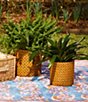 Color:Natural - Image 3 - x Nellie Howard Ossi Collection Cement Caning Flowerpot