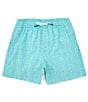 Color:Wake Blue - Image 1 - Little/Big Boys 4-16 Family Matching Painted Check Swim Trunks