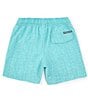 Color:Wake Blue - Image 2 - Little/Big Boys 4-16 Family Matching Painted Check Swim Trunks