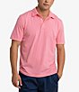 Color:Teaberry - Image 1 - Seaport Davenport Stripe Short Sleeve Polo Shirt